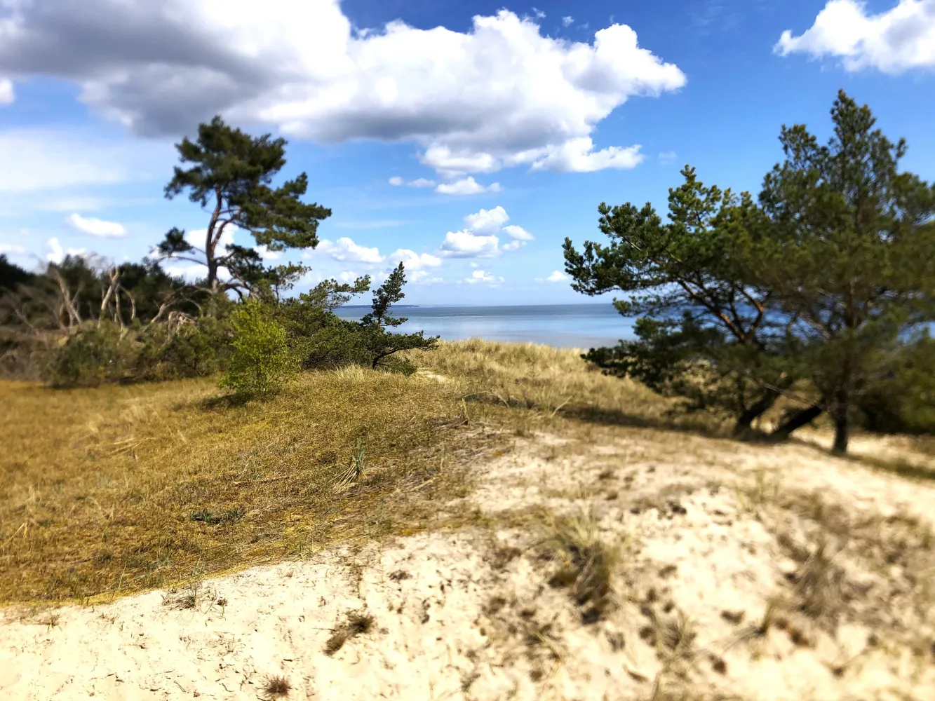 Strand